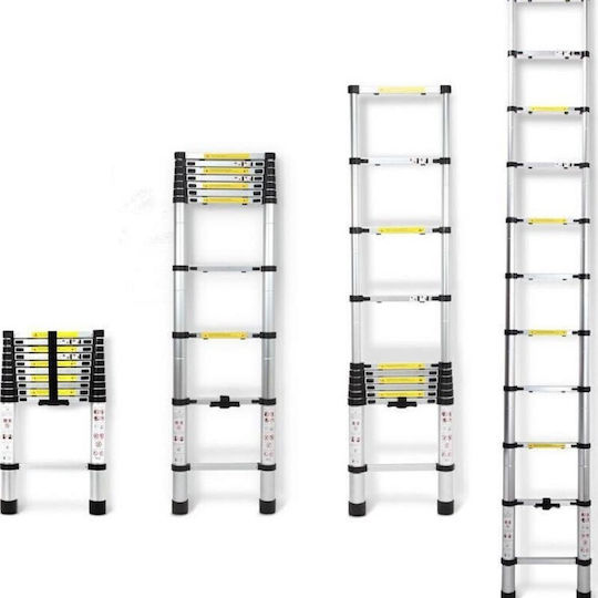 Telescopic Ladder Aluminum 15 of Steps with Maximum Height 5m 22122-080-00-05