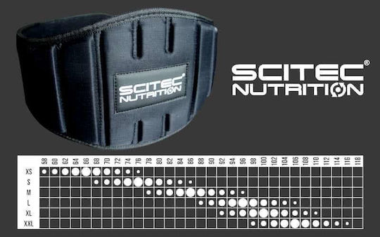 Scitec Nutrition Centură de ridicat greutăți pentru talie Sintetică