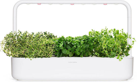 Click and Grow Σπόροι Λάχανου Πολύχρωμο 9τμχ
