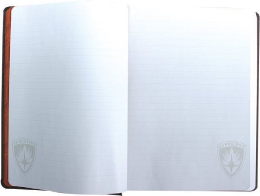 Half Moon Bay Rocket Raccoon Notizbuch A5 Geregelt Schwarz