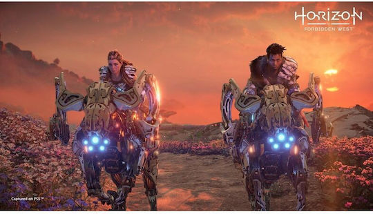Horizon Forbidden West Collector's Edition PS5 Game