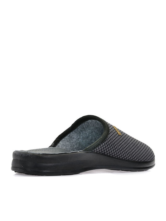 Tiglio Tiglio
