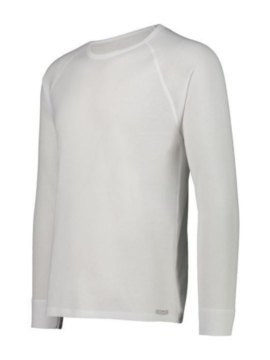 CMP White