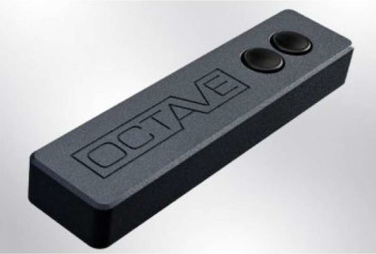 Octave HP 300 SE Amplificator de putere Amplificator Hi-Fi Stereo Negru