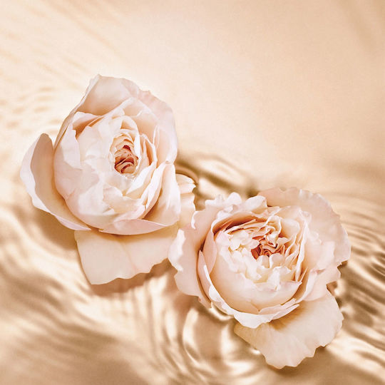 Jimmy Choo Seduction Collection Tempting Rose Eau de Parfum 125ml