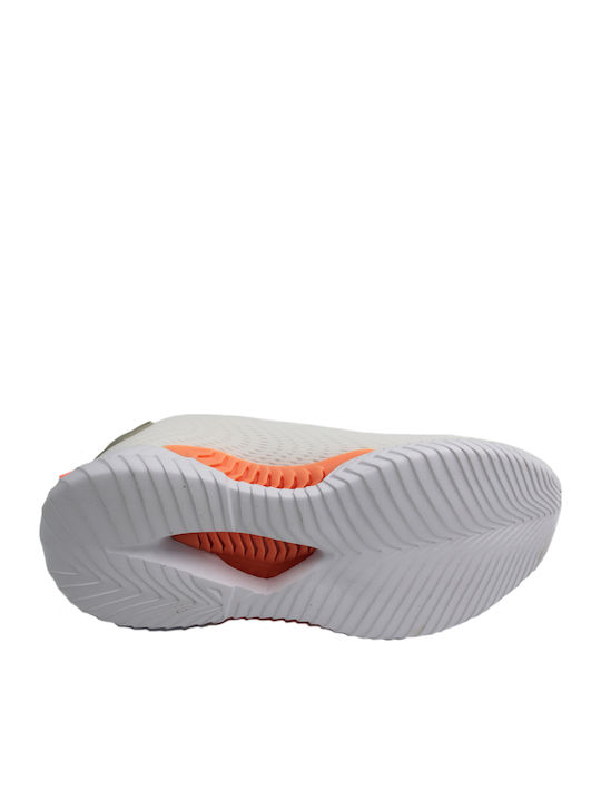 Anatomical Sneakers Gray