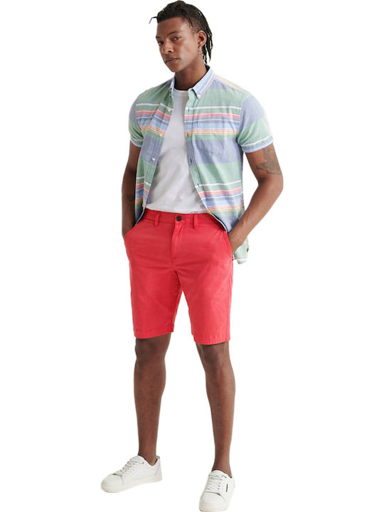 International Ανδρική Βερμούδα Chino Maldive Pink