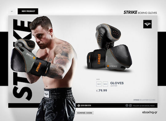 eBoxing Premium Strike Boxing Gloves Leather for Match Gray