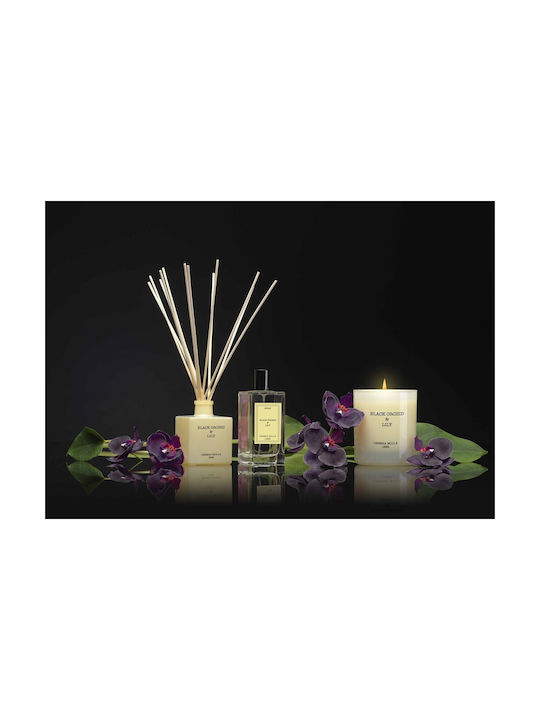 Cereria Molla Aromatisches Kerze in Gefäß mit Duft Black Orchid & Lily 230g