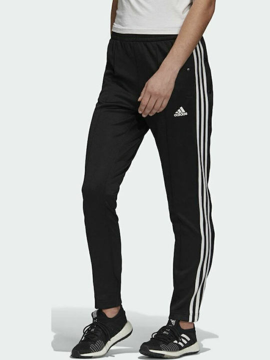 Must Haves Snap Παντελόνι Φόρμας Μαύρο