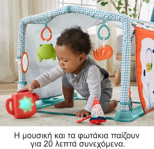Fisher Price Activity Gym Playhouse for Newborns