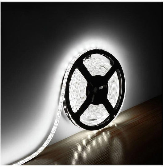 Ταινία LED 12V Ψυχρό Λευκό Φως 5m