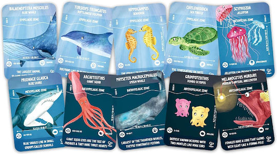 Kids Puzzle Ocean Life for 6+ years old+ Years 200pcs Hape