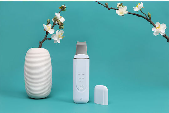 inFace Ultrasonic Ionic Gesichtspflegegerät für die Reinigung White MS7100-2