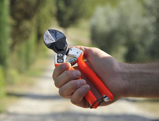 Castellari B12 Pruning Shears