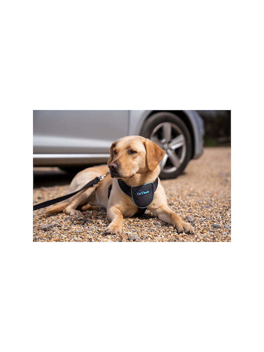 Company of Animals Σαμαράκι Σκύλου Γιλέκο CarSafe Μαύρο Large S6103616