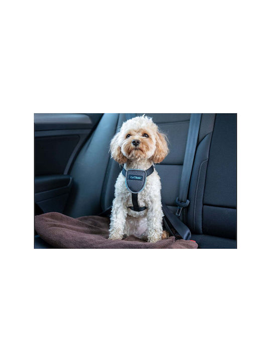 Company of Animals Dog Harness CarSafe Black Medium