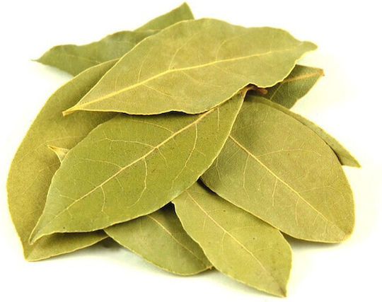 MPACHARADIKO Laurel Chios leaves 103744-50gr 50gr
