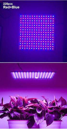 Pendant Grow Light with LED and Power 45W