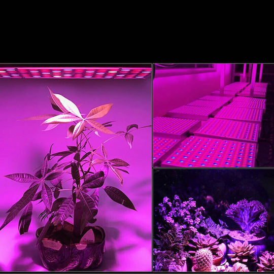 Pendant Grow Light with LED and Power 45W