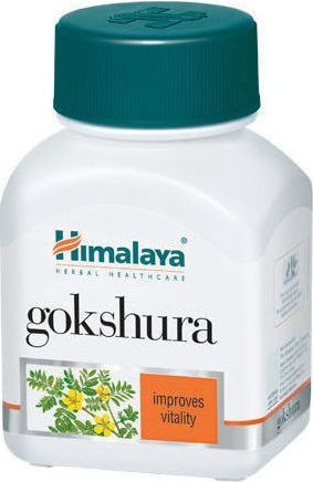 Himalaya Wellness Gokshura Men's Welness 60 ταμπλέτες