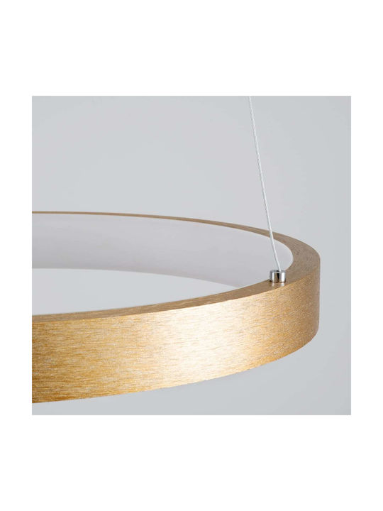 GloboStar Nemesis Ceiling Light Gold LED with Warm to Cool White Light 31x31cm