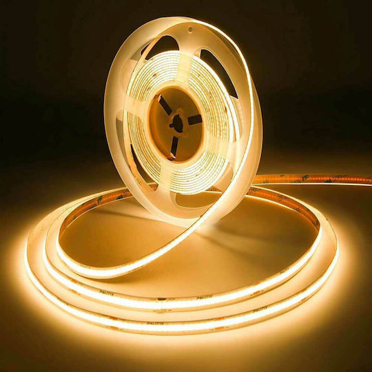 Spot Light LED Strip 24V Cold White Light 5m Type COB