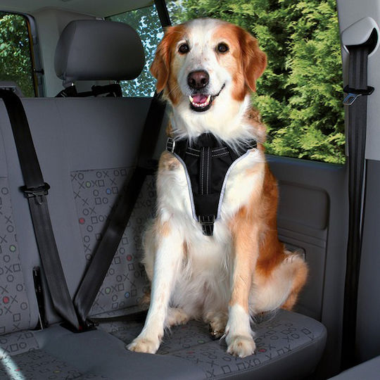 Trixie Seatbelt Car for Dog Large 70-90cm/25mm Black