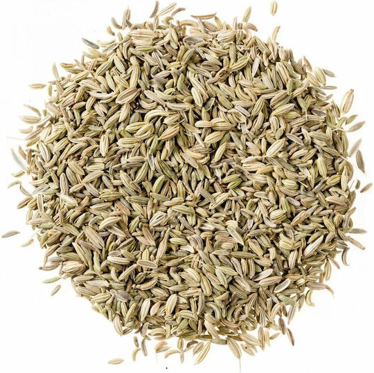 MPACHARADIKO Fenchelsaat 500gr
