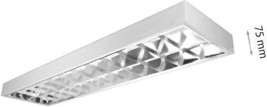 Power Led Metalic Lumină Fluorescentă de Tavan LED 18W cu 2 Locuri pentru Lămpi de Formă T8 pentru Soclu G13 L60cm.