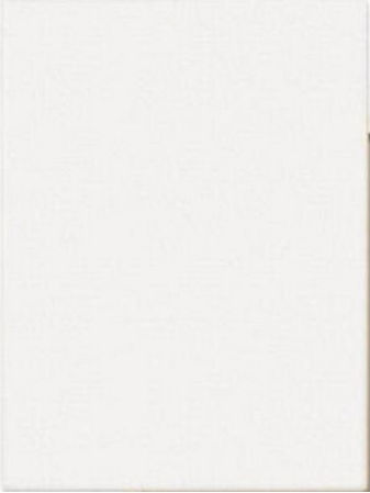 Metron Canvas White