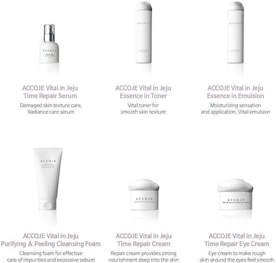 Accoje Vital In Jeju 24h Creme Gesicht 50ml