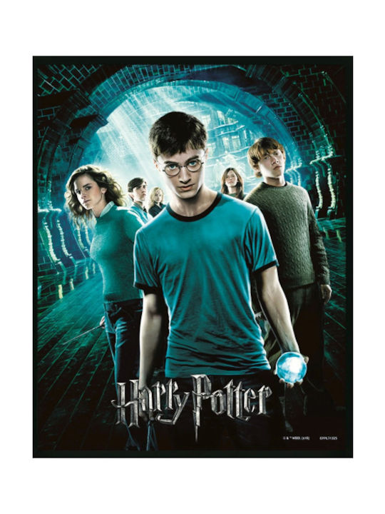 Pyramid International Harry Potter: Order Of The Phoenix Frame Plastic 20x25cm