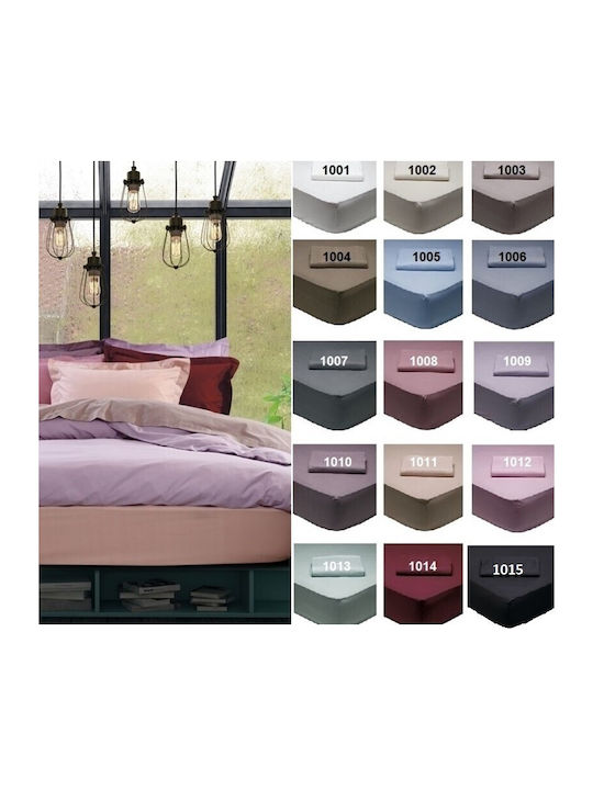 Das Home Sheet Super-Double with Elastic 170x200+35cm. Best 1011 Somon