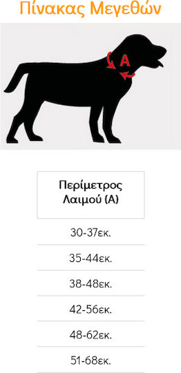 Pet Interest Образователен Medium 38-48см
