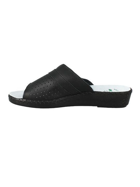 Antrin Women's Slipper In Black Colour