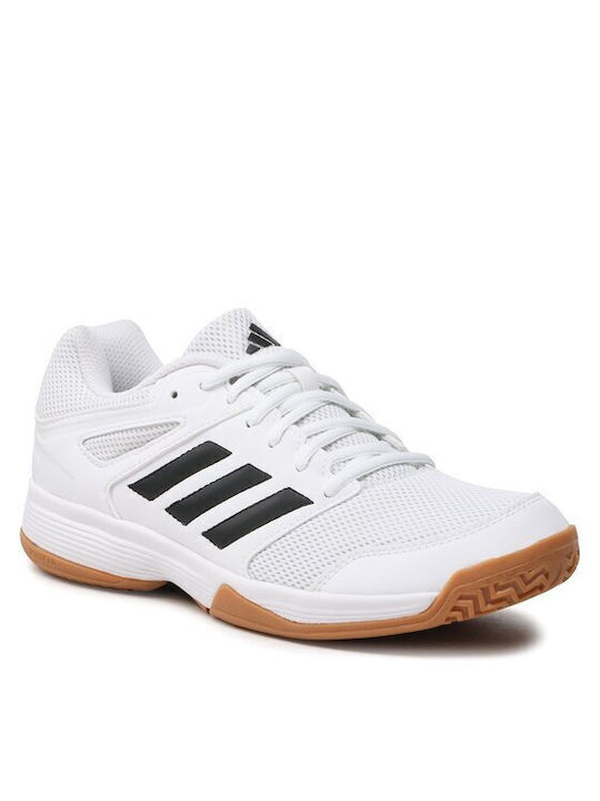 Adidas Speedcourt Ανδρικά Αθλητικά Παπούτσια Βόλεϊ Λευκά