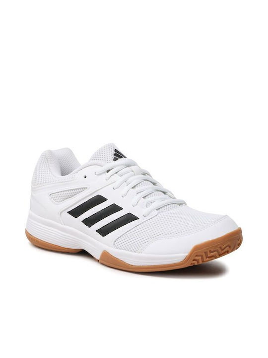 Speedcourt Sport Shoes Volleyball White