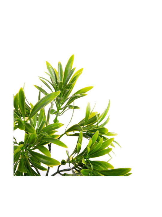 Podocarpus Branch for Outdoor Use 27 cm