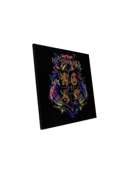 Nemesis Now Harry Potter Hogwarts Fine Oddities Glass Frame 32x32cm