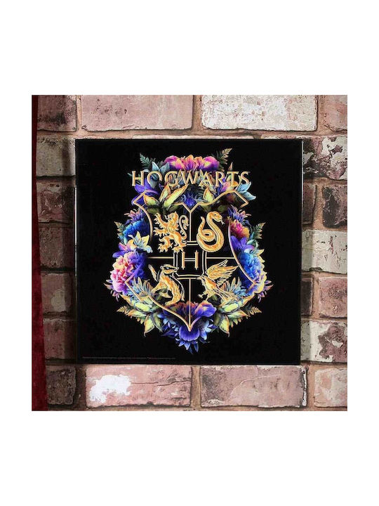 Nemesis Now Harry Potter Hogwarts Fine Oddities Frame Glass 32x32cm
