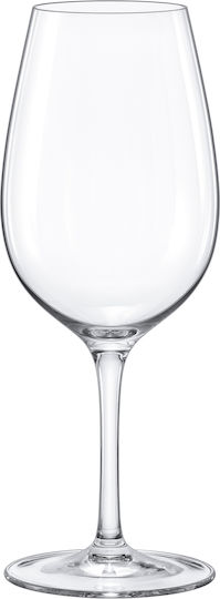 Crystal Bohemia Strix Ποτήρι για Κόκκινο Κρασί από Κρύσταλλο Κολωνάτο 450ml CTB06902045 0803084