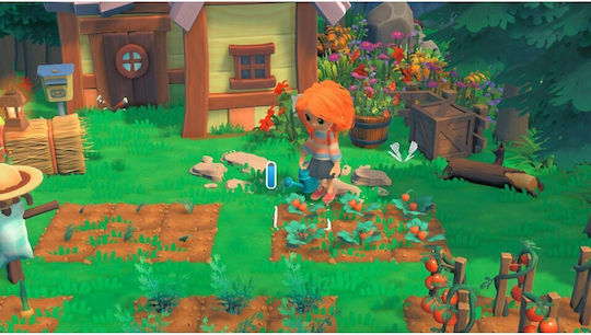 Hokko Life PS4 Game