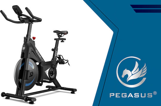 Pegasus Magnetisch