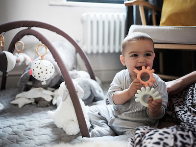 Borrn Zahnen Ring Frog BPA-frei für 3 m+ 1Stück