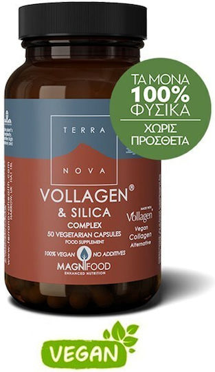 TerraNova Vollagen & Silica Complex Supliment Special Alimentar 50 capsule veget