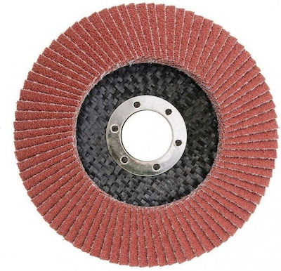 Smirdex Flap Disc de șlefuire pentru Μetal P60 125mm Set de 1buc