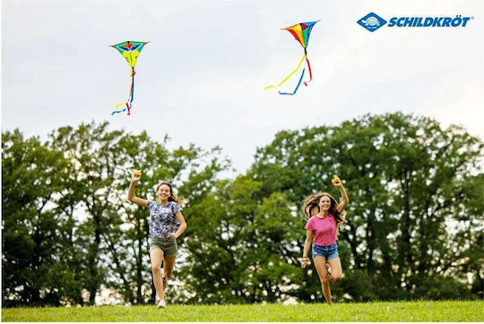 Schildkrot Romb Kite Classic Kite 70 Crazy Bird Plastic cu Coada 1buc