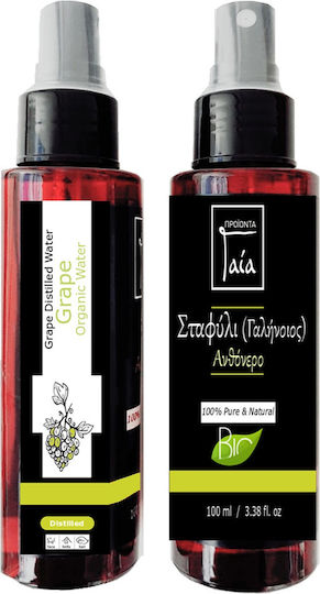 Gaia Products Face Mist Τόνωσης Προσώπου 100ml