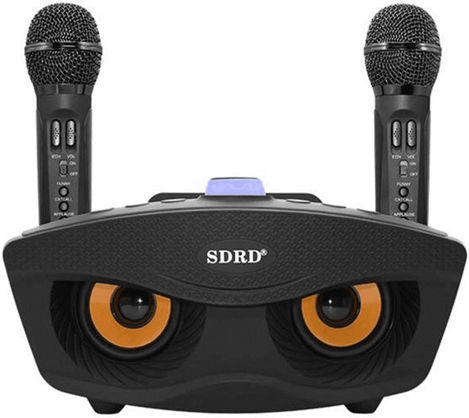 Boxă Karaoke cu Microfoane Wireless și Efecte de Iluminare SD-306 Negru